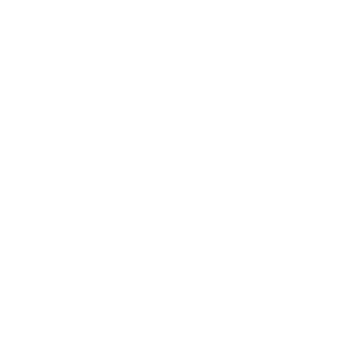 Logo Top Film Películas
